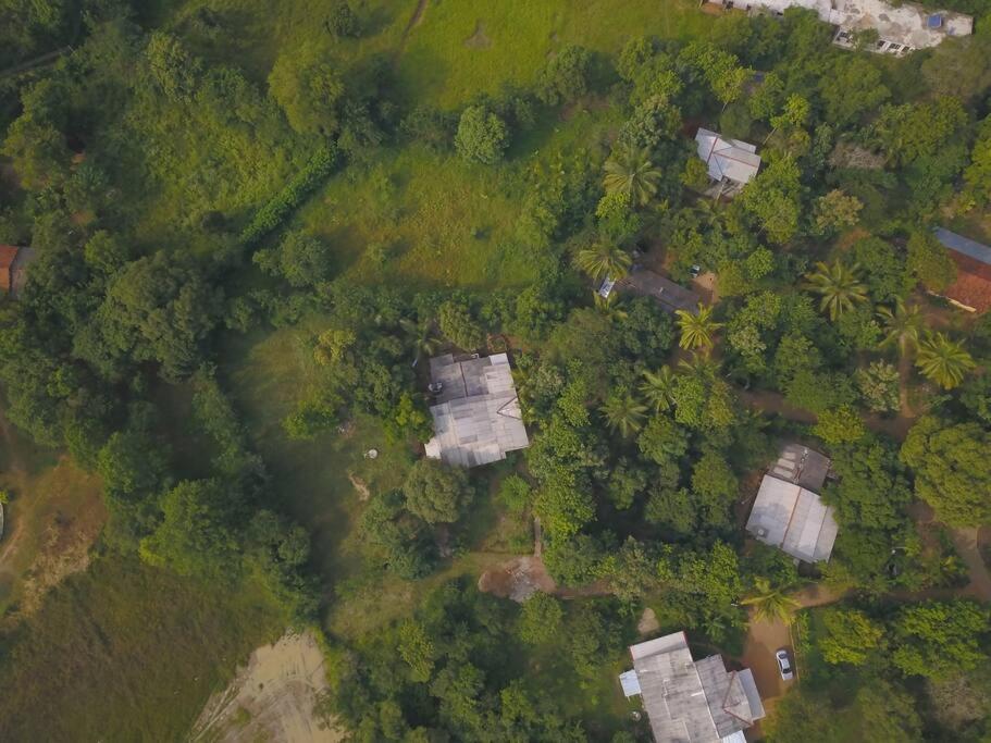 Sigiriya Village Home Stay Exterior foto
